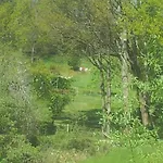 La Clairiere *