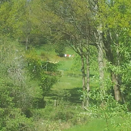 La Clairiere *